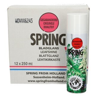 4A Spring Leaf Shine Care | CFC free | Contents 250 millilitres | Per 12 spray cans