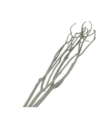 4A Dried Mitsumata Flake Branches | Colour: Grey | Dried Decoration | Length ± 115 centimetres | 3 branches per bunch | Per bunch