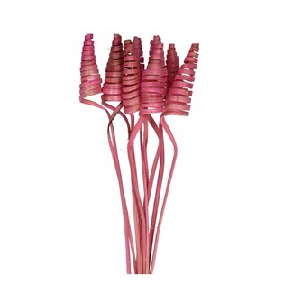 4A Palm Spirale sur tige | Couleur : Rose clair | Cane Cone Piquet décoratif | Longueur du piquet ± 50 centimètres | Par 10 piquets