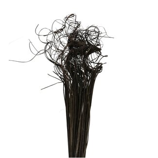 4A Gedroogd Palmblad Nerf | Curly Ting Ting | Kleur: Zwart | Droogdecoratie | Lengte ± 70 centimeter | Gewicht 200 gram | Per bos