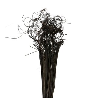 4A Getrocknetes Palmblatt Ader | Curly Ting Ting | Farbe: Schwarz | Trockenblumen | Länge ± 70 Zentimeter | Gewicht 200 Gramm | Pro Bund