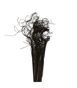 4A Dried Palm Leaf Vein | Curly Ting Ting | Colour: Black | Dried Decoration | Length ± 70 centimetres | Weight 200 grams | Per bunch