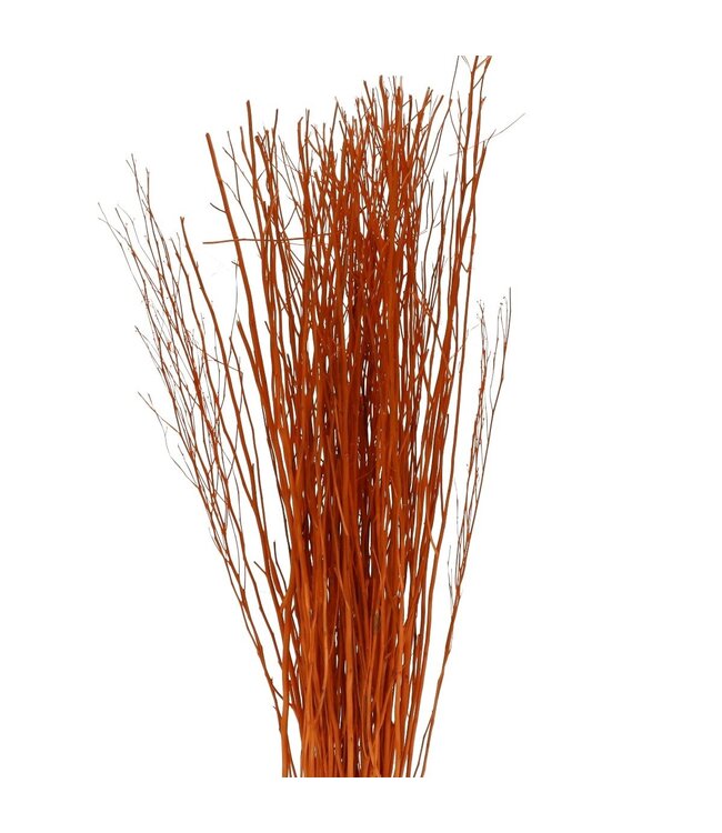 Branches de Yanagi séchées | Couleur : Orange | Décoration séchée | Poids 250 grammes | Par bouquet