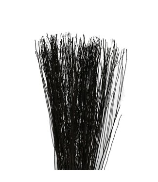 4A Branches de Yanagi séchées | Couleur : Noir | Décoration sèche | Poids 250 grammes | Par bouquet