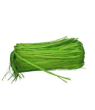 4A Raphia | Couleur : Vert | Par 250 grammes