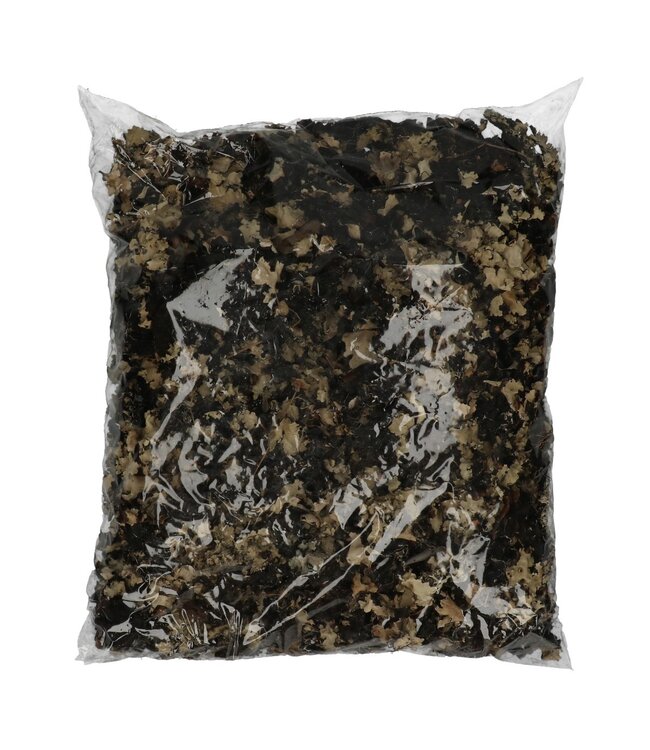 Lichen Musgo Séché | Couleur : Noir | Décoration Sèche | Poids 250 grammes | Par pièce