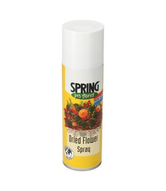 4A Soin Spray pour fleurs séchées | Sans CFC | Contenu 300 millilitres | Par aérosol
