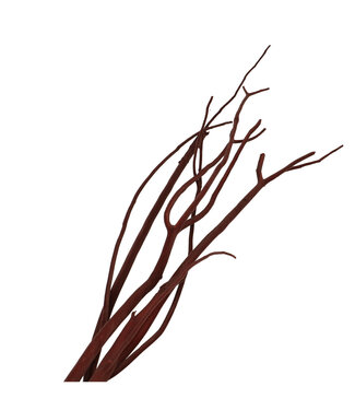 4A Gedroogde Mitsumata vlok Takken | Kleur: Bruin | Droogdecoratie | Lengte ± 115 centimeter | 3 takken per bos | Per bos