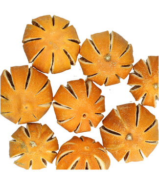4A Dried Fruit Orange Slices | Colour: Orange | Diameter 4 centimetres | Weight 250 grams per bag | Per 5 bags