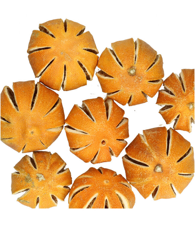 Tranches d'orange séchées | Couleur : Orange | Diamètre 4 centimètres | Poids 250 grammes par sac | Par 5 sacs