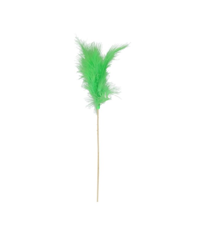 Feather Picks | Colour: Apple Green | Length ± 50 centimetres | Per 25 picks