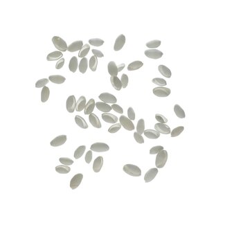 4A Bubble Shell Schelpen | Kleur: Naturelle Wit | Per 250 gram schelpen