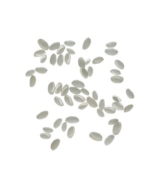 4A Bubble Shell Schelpen | Kleur: Naturelle Wit | Per 250 gram schelpen