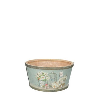 4A Holzblumentopf Pflanzkasten Gänseblümchen | Farbe: Hellblau | Länge 22 Zentimeter | Breite 11 Zentimeter | Pro 10 Pflanzkästen