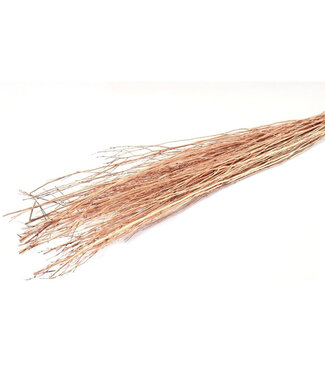 4A Branches de Yanagi séchées | Couleur : Cuivré | Décoration sèche | Poids 250 grammes | Par bouquet