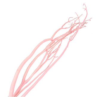 4A Gedroogde Mitsumata vlok Takken | Kleur: Lichtroze | Droogdecoratie | Lengte ± 115 centimeter | 3 takken per bos | Per bos