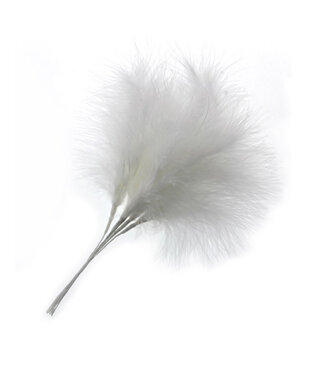 4A Plumes blanches naturelles à piquer | Longueur 25 centimètres | Par lot de 6 pièces
