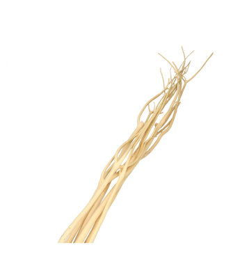 4A Gedroogde Mitsumata Takken | Kleur: Crèmekleurig | Droogdecoratie | Lengte ± 115 centimeter | 5 takken per bos | Per bos