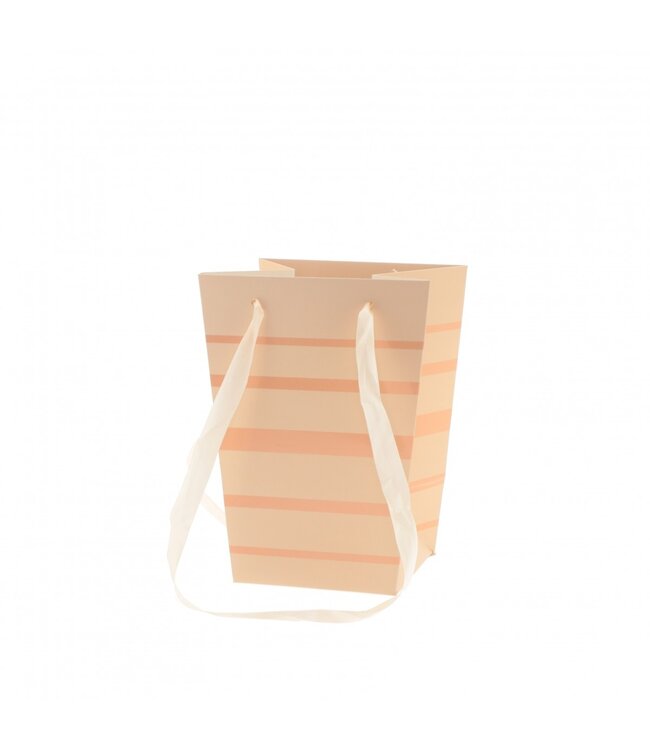 Bags "Ellen" | Colour: Salmon Orange | Length 15 centimetres | Width 11 centimetres | Height 20 centimetres | Per 10 bags