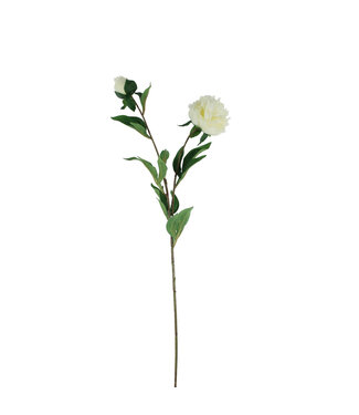 4A Pivoine Fleur Artificielle | Couleur : Crème | Longueur ± 87 centimètres | Par 12 fleurs artificielles