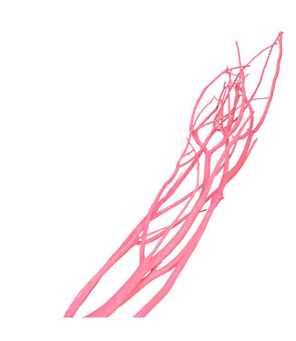 4A Gedroogde Mitsumata vlok Takken | Kleur: Roze | Droogdecoratie | Lengte ± 115 centimeter | 3 takken per bos | Per bos
