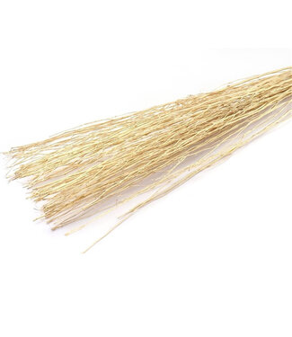 4A Getrocknete Yanagi Zweige | Farbe: Goldfarben | Trockenblumen-Dekoration | Gewicht 250 Gramm | Pro Bund