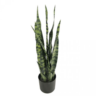 4A Sanseveria plante artificielle avec pot | Couleur : Vert | Diamètre ± 16 centimètres | Hauteur ± 68 centimètres | Par plante artificielle