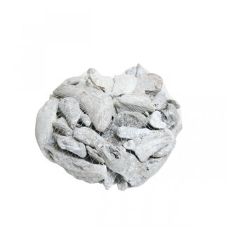 4A Gedroogd Drijfhout | Driftwood | Kleur: Naturelle Wit | Droogdecoratie | Gewicht 300 - 500 gram | Per stuk
