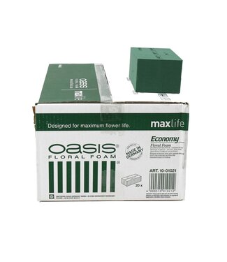 4A Oasis Block Economy | Width 20 centimetres | Length 10 centimetres | Height 8 centimetres | Per 20 pieces