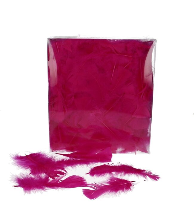 Plumes de dinde | Couleur : Fuchsia | Poids : 45 grammes | Par sachet de plumes