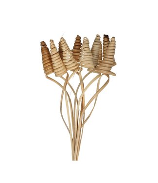 4A Palmspirale auf Stiel | Farbe: Braun | Cane Cone Pflanzstab | Länge Pflanzstab ± 50 Zentimeter | Pro 10 Pflanzstäbe