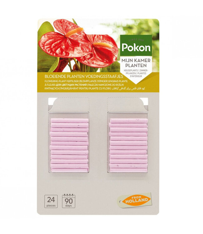 Entretien Pokon Bâtonnets Nourrissants pour Plantes | Par 24 bâtonnets