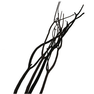 4A Getrocknete Mitsumata Zweige | Farbe: Schwarz | Trockenblumendekoration | Länge ± 115 Zentimeter | 3 Zweige pro Bund | Pro Bund