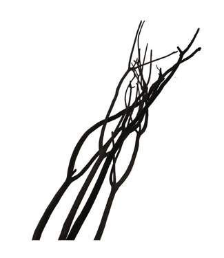 4A Gedroogde Mitsumata vlok Takken | Kleur: Zwart | Droogdecoratie | Lengte ± 115 centimeter | 3 takken per bos | Per bos