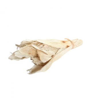 4A Dried Palm Bark Bakla | Colour: White | Dried Decoration | 10 barks per bunch | Per bunch