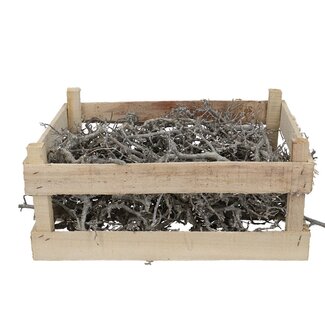 4A Gedroogd Bonsaihout in kist | Kleur: Naturelle Wit | Droogdecoratie | Breedte 60 centimeter | Lengte 40 centimeter | Per stuk