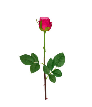 4A Rosen Kunstblume | Farbe: Fuchsia | Rosen Kunstblumen | Länge ± 46 Zentimeter | Pro 24 Kunstrosen