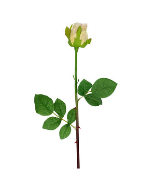 4A Roos Kunstbloem | Kleur: Crèmekleurig | Rozen kunstbloemen | Lengte ± 46 centimeter | Per 24 kunstrozen