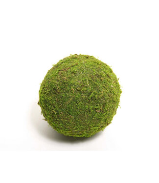 4A Dried Moss Ball | Colour: Green | Dried Decoration | Diameter 20 centimetres | Per 12 pieces