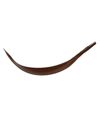 4A Gedroogd Kokosnoot Blad | Kleur: Donkerbruin | Droogdecoratie | Lengte 27 - 40 centimeter | Per 10 stuks