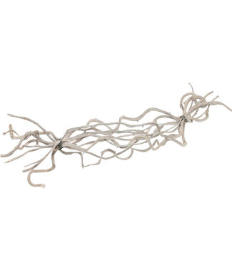 4A Dried Vine Branches Crazyvine | Colour: Natural White | Dried Decoration | Length ± 60 centimetres | Per 10 branches