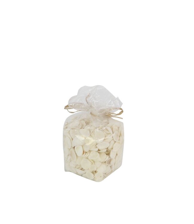 Coquillages Blancs Cockles | Couleur : Blanc Naturel | Par kilo de coquillages