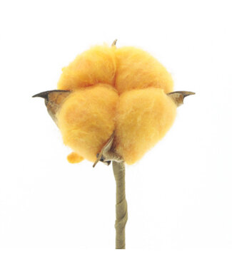 4A Katoen Bijsteker | Kleur: Oranje | Diameter ± 5 centimeter | Lengte bijsteker ± 50 centimeter | Per 25 bijstekers