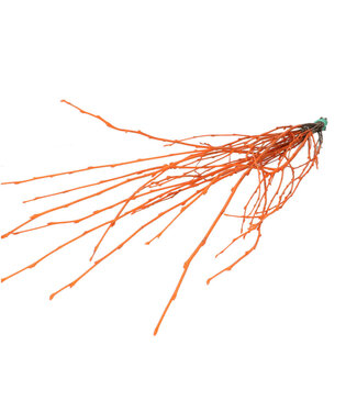 4A Branches de bouleau séchées | Couleur : Orange | Décoration séchée | Longueur ± 70 centimètres | Par 10 branches