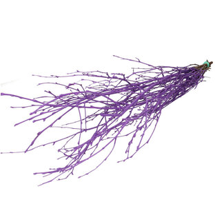 4A Dried Birch Branches | Colour: Purple | Dried Decoration | Length ± 70 centimetres | Per 10 branches