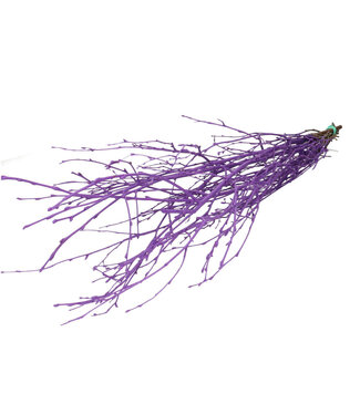 4A Dried Birch Branches | Colour: Purple | Dried Decoration | Length ± 70 centimetres | Per 10 branches