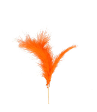4A Veren Pique-fleurs | Couleur : Orange | Pique-fleurs ± 50 centimètres | Plume ± 14 centimètres | Par 25 pique-fleurs