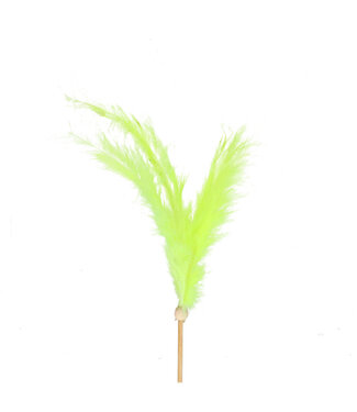 4A Pique-fleurs en plumes | Couleur : Vert | Pique-fleurs ± 50 centimètres | Plume ± 14 centimètres | Par 25 pique-fleurs