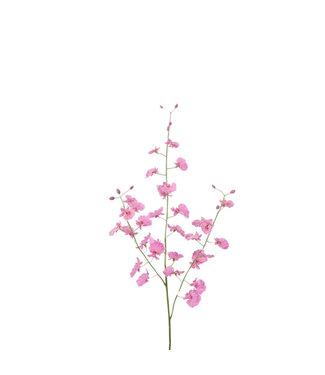 4A Dancing Lady Orchid Artificial Flower | Colour: Pink | Oncidium artificial flowers | Length ± 80 centimetres | Per 6 artificial flowers