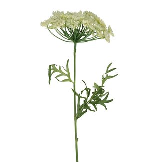 4A Dill Blüten Kunstblume | Farbe: Naturweiß | Länge ± 59 Zentimeter | Pro 6 Kunstblumen